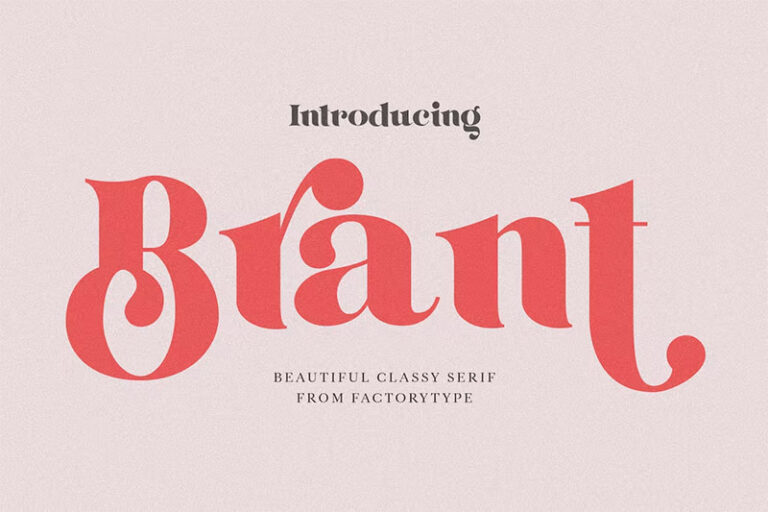 Curvy Fonts: The Best Typefaces With Sweeping Contours