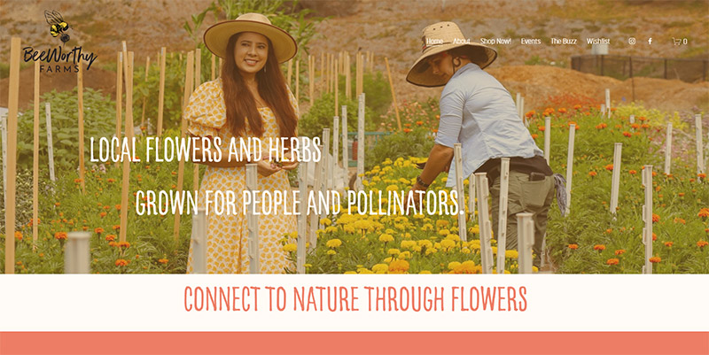 Farm Websites - BeeWorthy