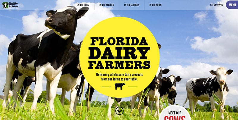 Florida Dairy Farmers