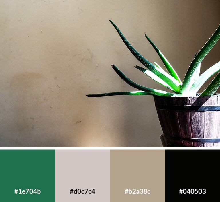 25 Earth Tone Color Palettes (with Hex Codes)