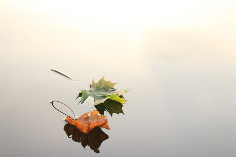 Beautiful Free Fall Wallpaper and Desktop Backgrounds
