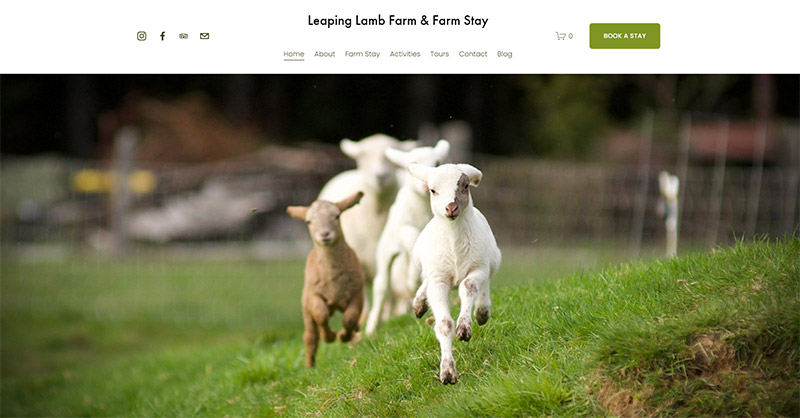 Leaping Lamb Farm