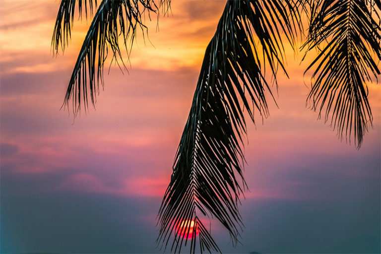 Best Free Summer Wallpaper: Desktop and iPhone Backgrounds