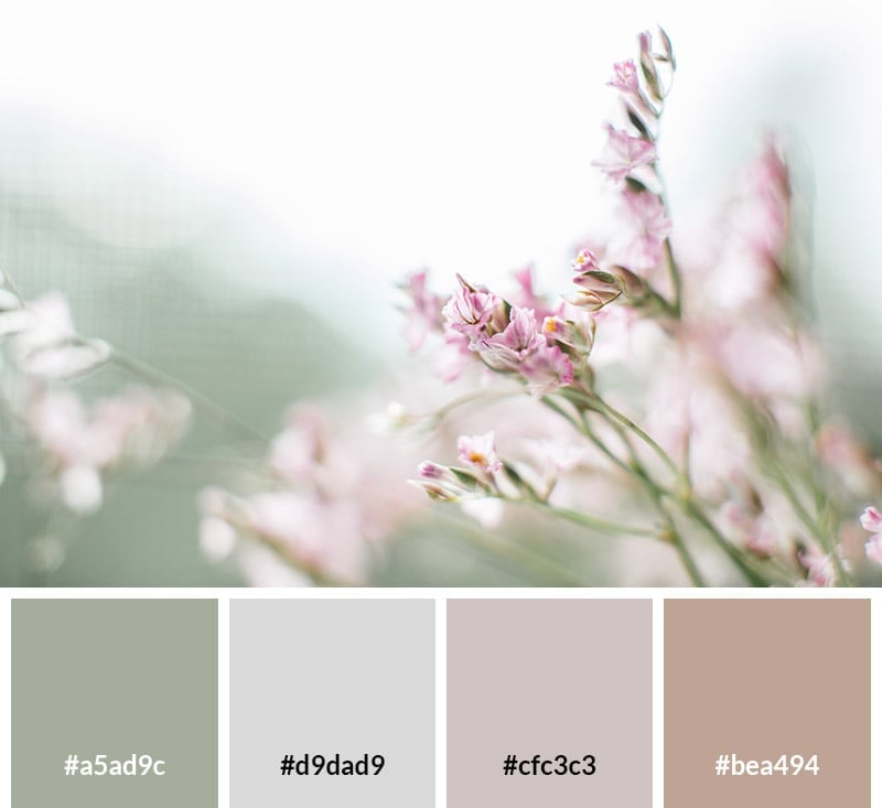 Floral Pastels
